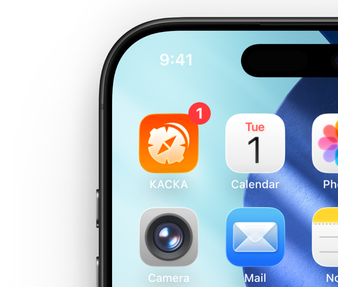Экран приложения КАСКА на iPhone